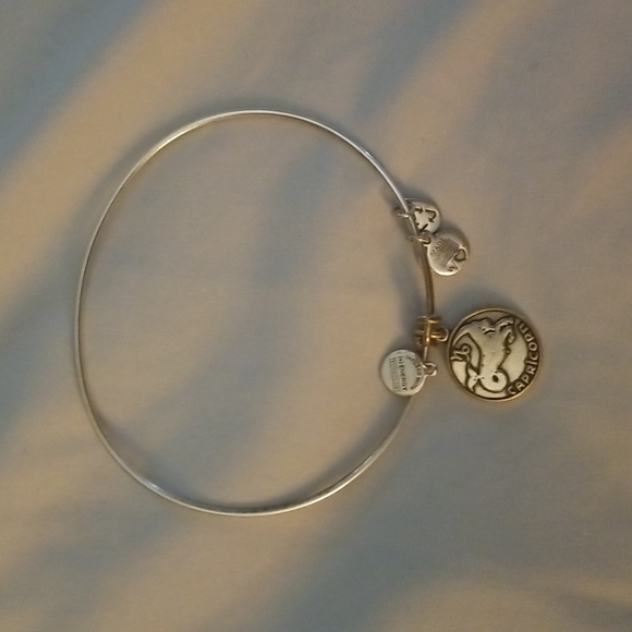 Alex and Ani bangle bracelets - Picture 5 of 5